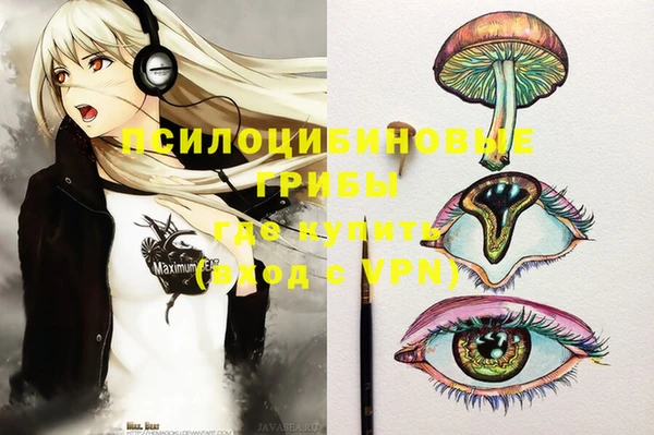 индика Белоозёрский