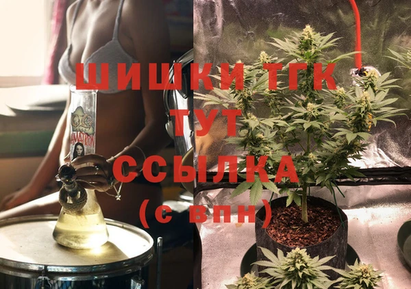 индика Белоозёрский