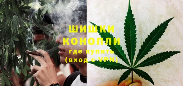 тгк Белокуриха