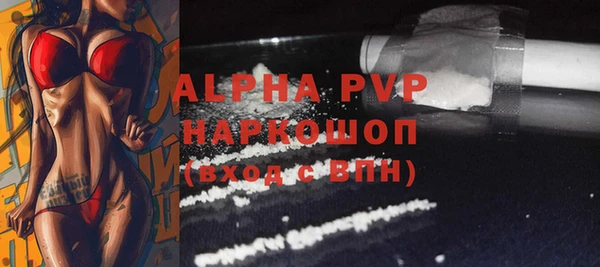 индика Белоозёрский