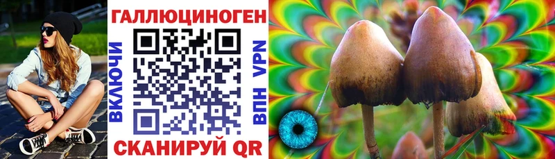 Псилоцибиновые грибы Cubensis  Кореновск 