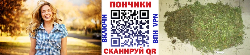Шишки марихуана ГИДРОПОН  сколько стоит  Кореновск 